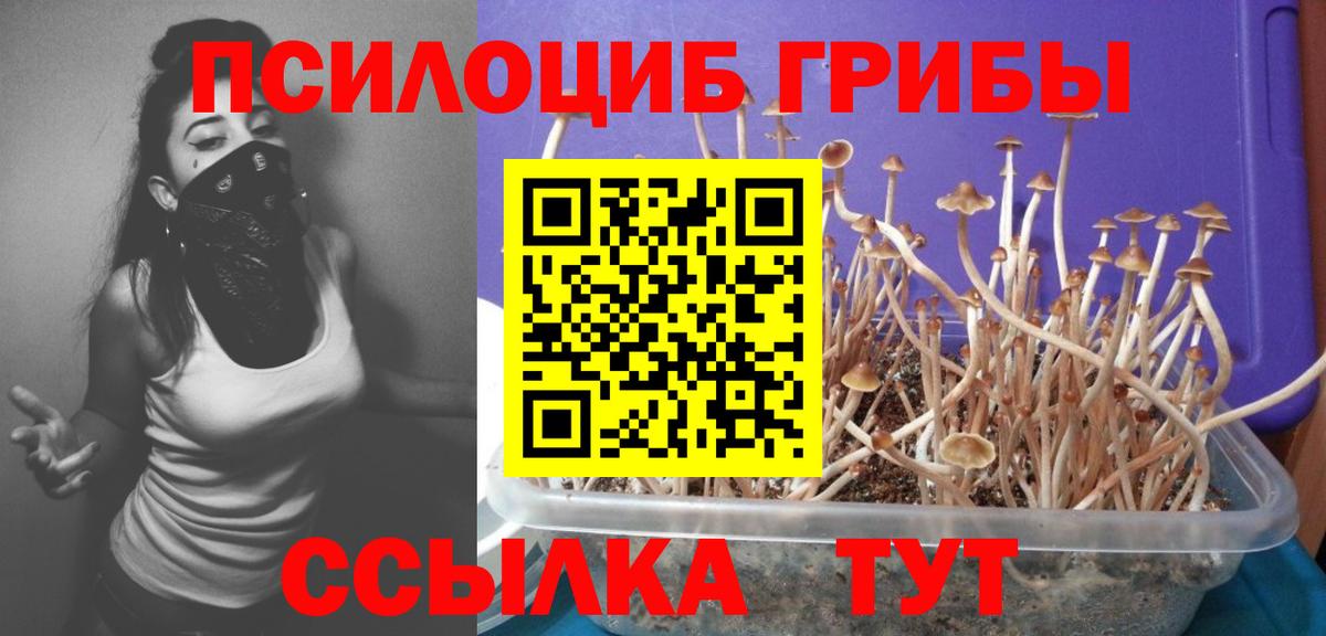 Томск  Галлюциногенные грибы MAGIC MUSHROOMS  Вход с VPN 